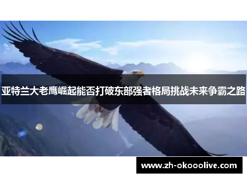 亚特兰大老鹰崛起能否打破东部强者格局挑战未来争霸之路