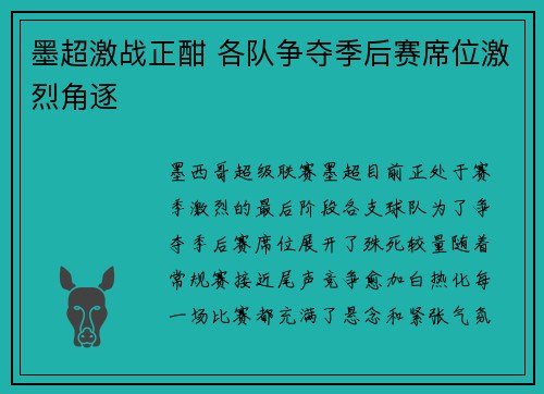 墨超激战正酣 各队争夺季后赛席位激烈角逐